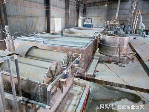 紅薯淀粉加工全流程與關鍵參數(shù)解析 從設備選型到出粉率優(yōu)化